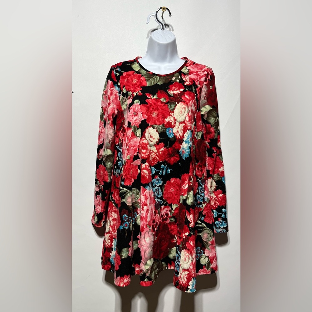 Show Me Your Mumu Size Small Floral Swing Dress Long Sleeve Pink Black Size XS